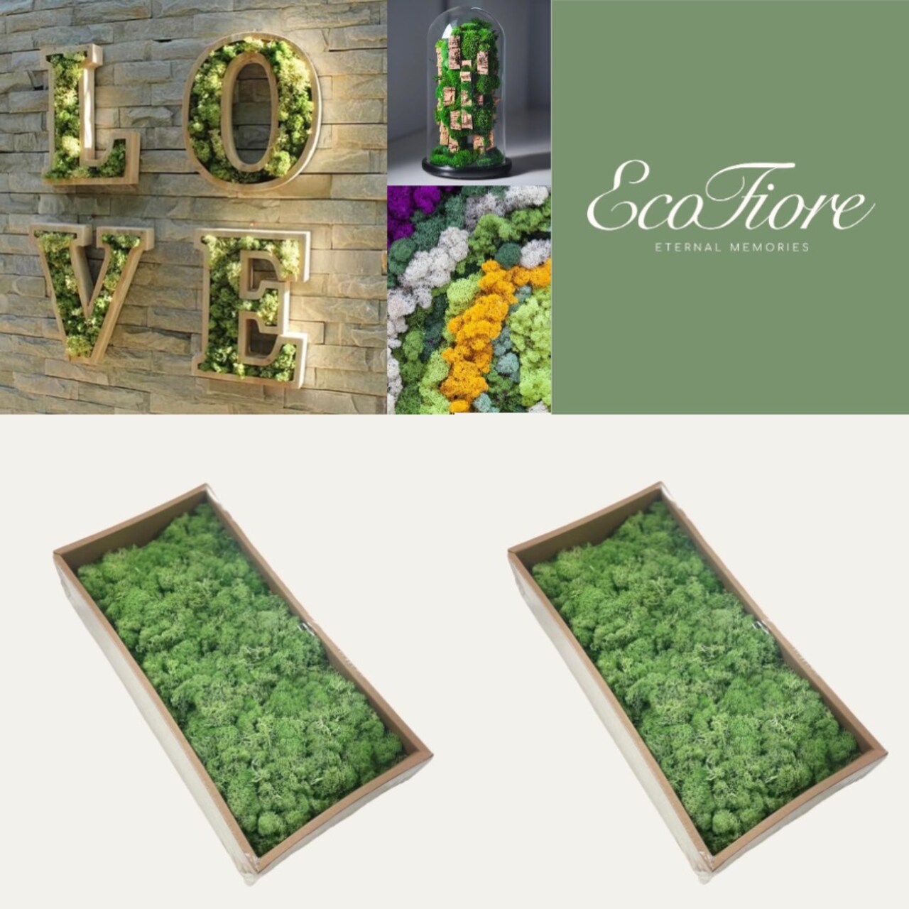 Moss Preserved Dark Green for Fairy Gardens Terrariums, Craft, DIY, Floral, 1Kg Musgo Preservado